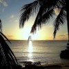 Palm Sunset2