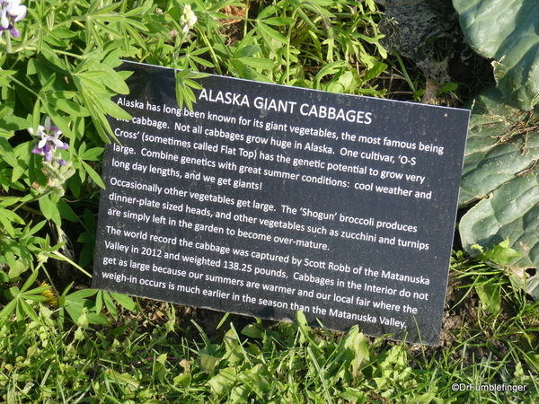 34 Georgeson Botanical Garden, Fairbanks