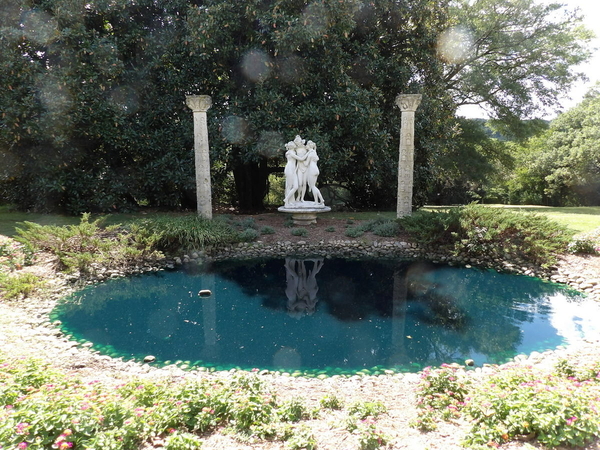 Reflective Pool