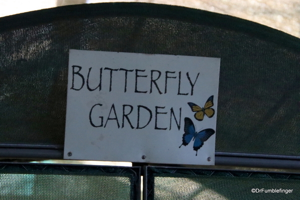 01 Butterfly garden at Guapiles