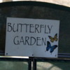 Butterfly garden, Guapiles