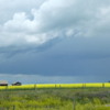 Approaching storm, near Nanton