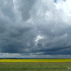 Approaching storm, near Nanton