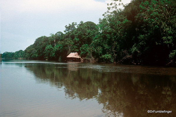 01 Peruvian Amazon