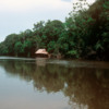 01 Peruvian Amazon