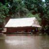 02 Peruvian Amazon