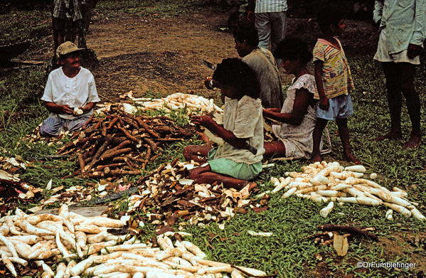 11 Peruvian Amazon Harvesting Yaka