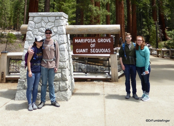 01 Mariposa Grove, Yosemite NP)