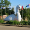 Swan River Swan