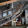 10 Vasamuseum