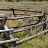 00 Buckrail fencing, Grand Teton National Park
