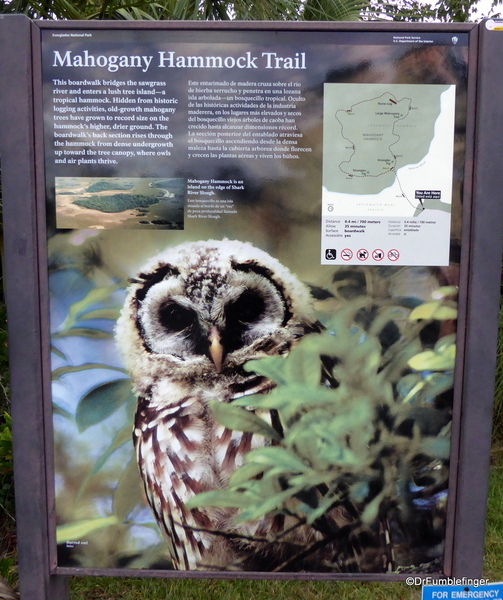01 Mahogany Hammock Trail