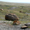 05 Red Rock Coulee