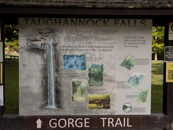 taughannock falls-6