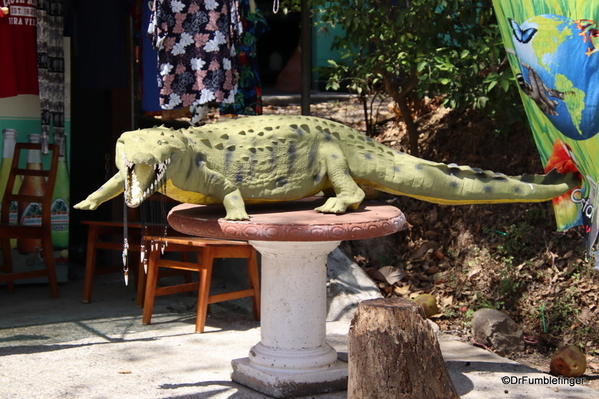 09 Crocodiles, Rio Grande de Tarcoles Costa Ric