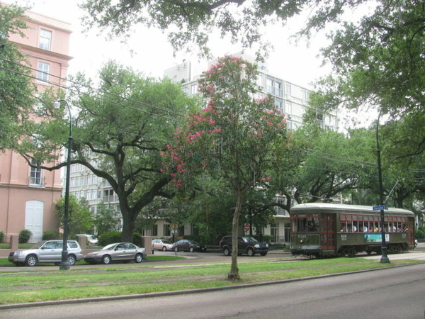 New-Orleans-Garden-District