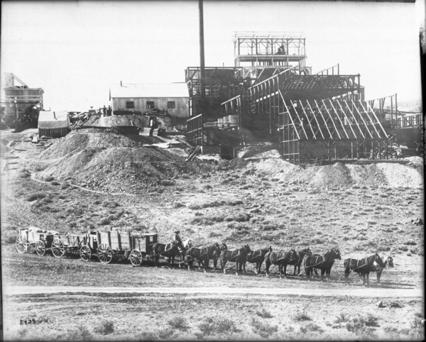 1920px-A_team_of_12_horses_hauling_three_wagons_full_of_ore,_Goldfield,_Nevada,_ca.1905_(CHS-5429)