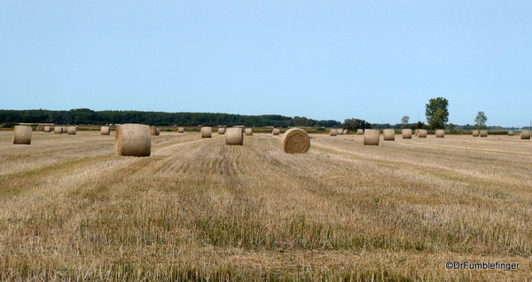 02 Hay field near Anola (3)