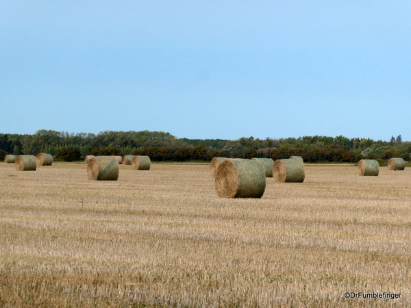02 Hay field near Anola (5)