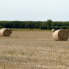 02 Hay field near Anola (7)