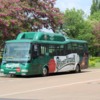 Pilsner - Bus