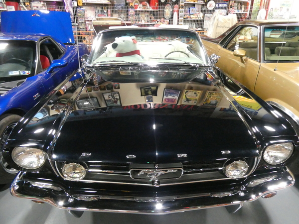 23 Russell's Travel Center. 1964 Ford Mustang Convertible