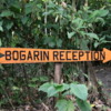 01 Bogarin Trail