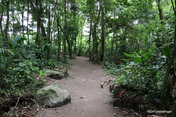 09 Bogarin Trail