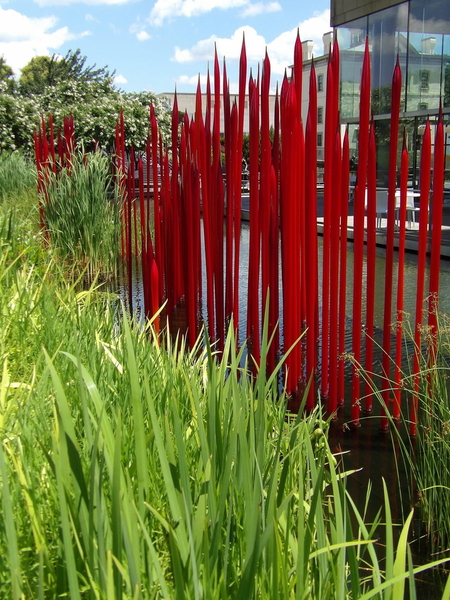 red reeds #2