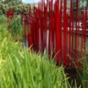 red reeds #2