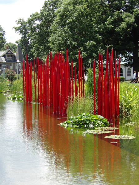 red reeds