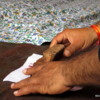 04 Krishna Textiles, Jaipur