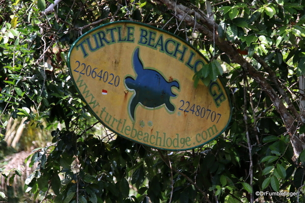 19 Trip to Turtle Bay