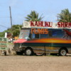 Shrimp truck, North Shore