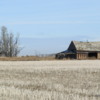 01 Old Barn, Alberta