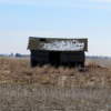 05 Old Barn, Alberta