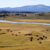 10 Hayden Valley and Yellowstone River