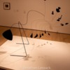 Lessuck - MOMA Calder-6