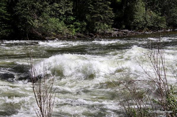 04 Lochsa River