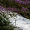 Lessuck_waterfalls-43