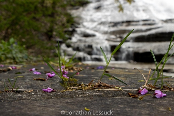 Lessuck_waterfalls-44