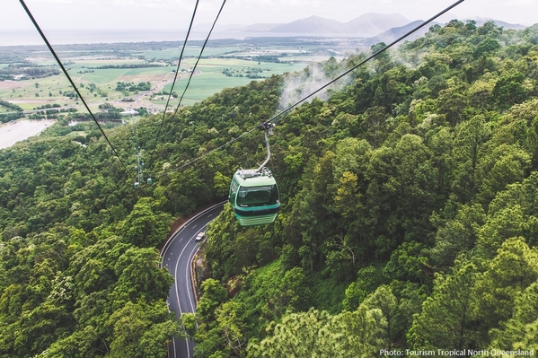 8_Skyrail Rainforest Cableway [1)
