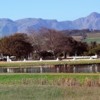 24_Stellenbosch winelands