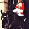 Queen's Guard - Mounted