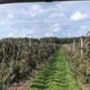 Verger Belliveau Orchard: Verger Belliveau Orchard