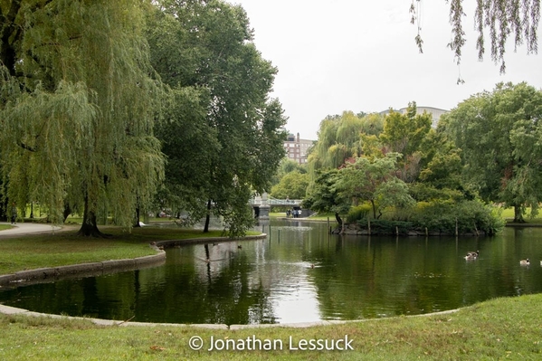 Lessuck_Boston Parks-7