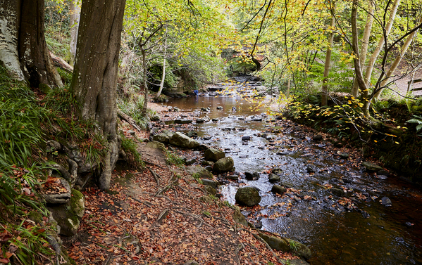 Autumn at Falling Foss - feeder stream.