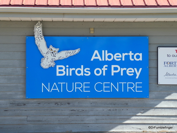 01 Birds of Prey Center, Coaldale