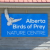 01 Birds of Prey Center, Coaldale