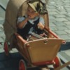 Child in Wagon